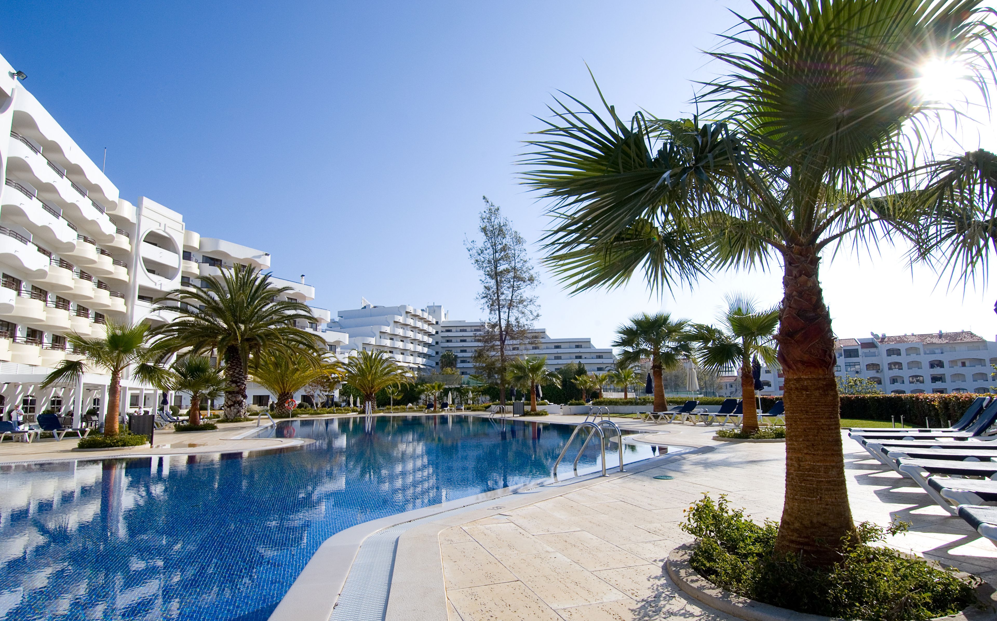 A swimming pool surrounded by palm trees and lounge chairs, with modern buildings in the background.