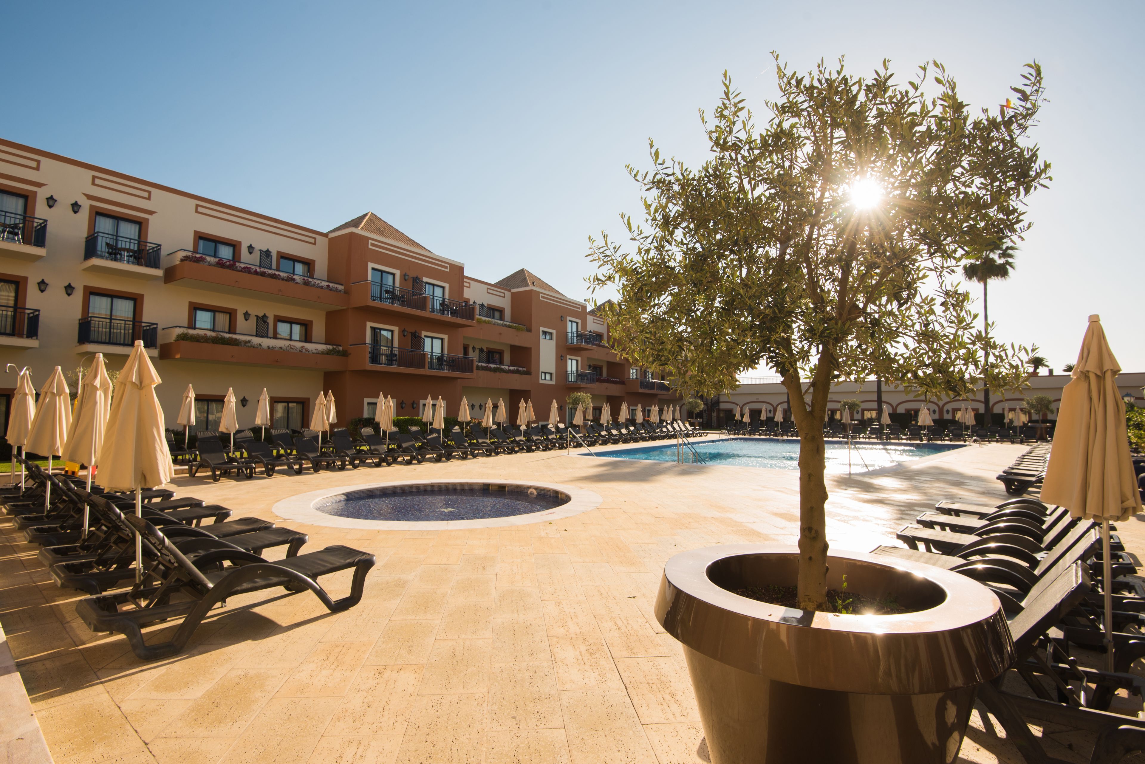 A poolside area with sun loungers, umbrellas, and a large tree planter.