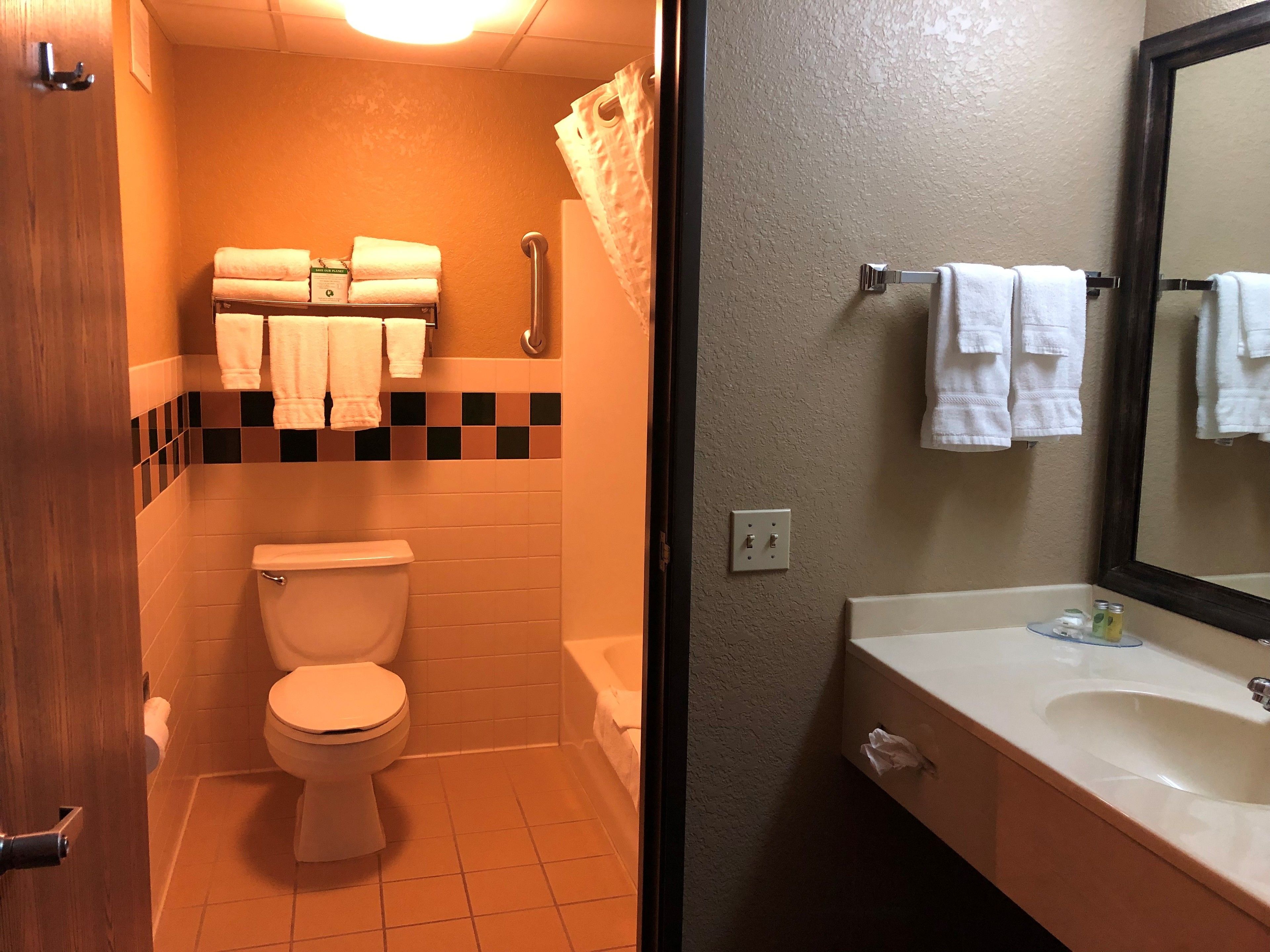 room, 1 king bed, non smoking | bathroom | combined shower/bathtub, free toiletries, hair dryer, towels