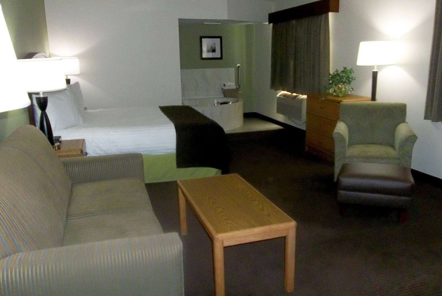 A hotel room with a bed, a sofa, a small table, a chair, a desk, a lamp, and a plant.