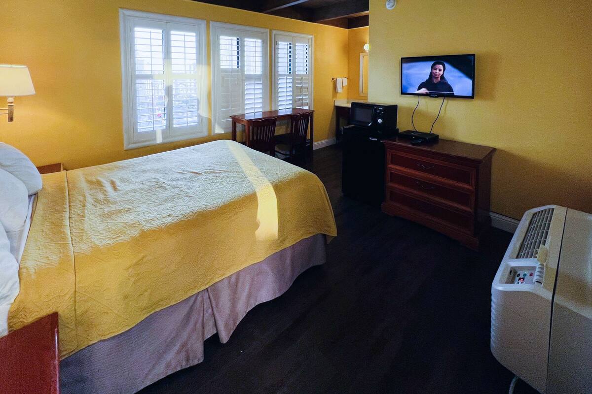 A hotel room with a bed, a television, a desk with a computer, and a heater.