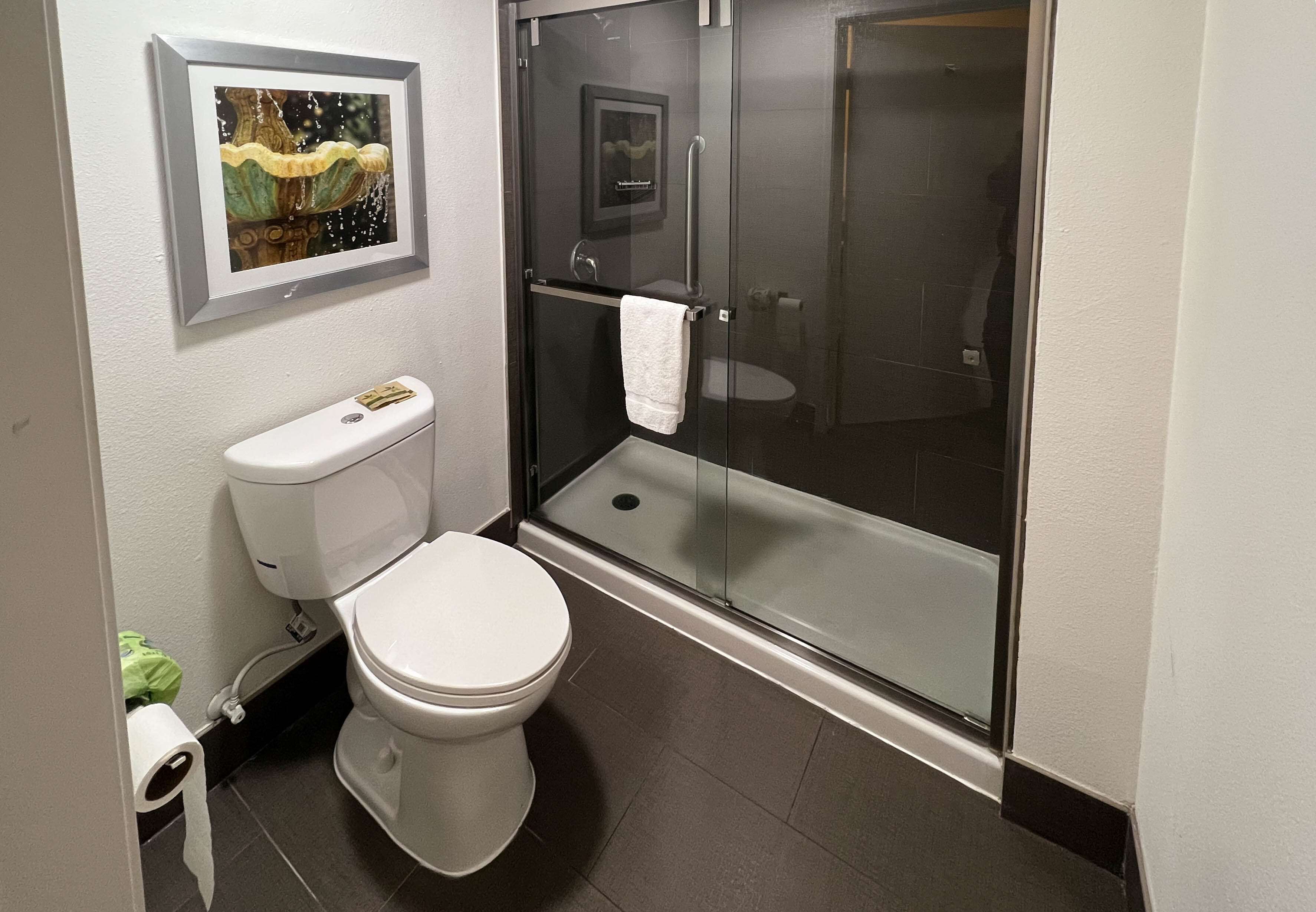 A bathroom with a toilet, a glass shower enclosure, and a framed picture on the wall.