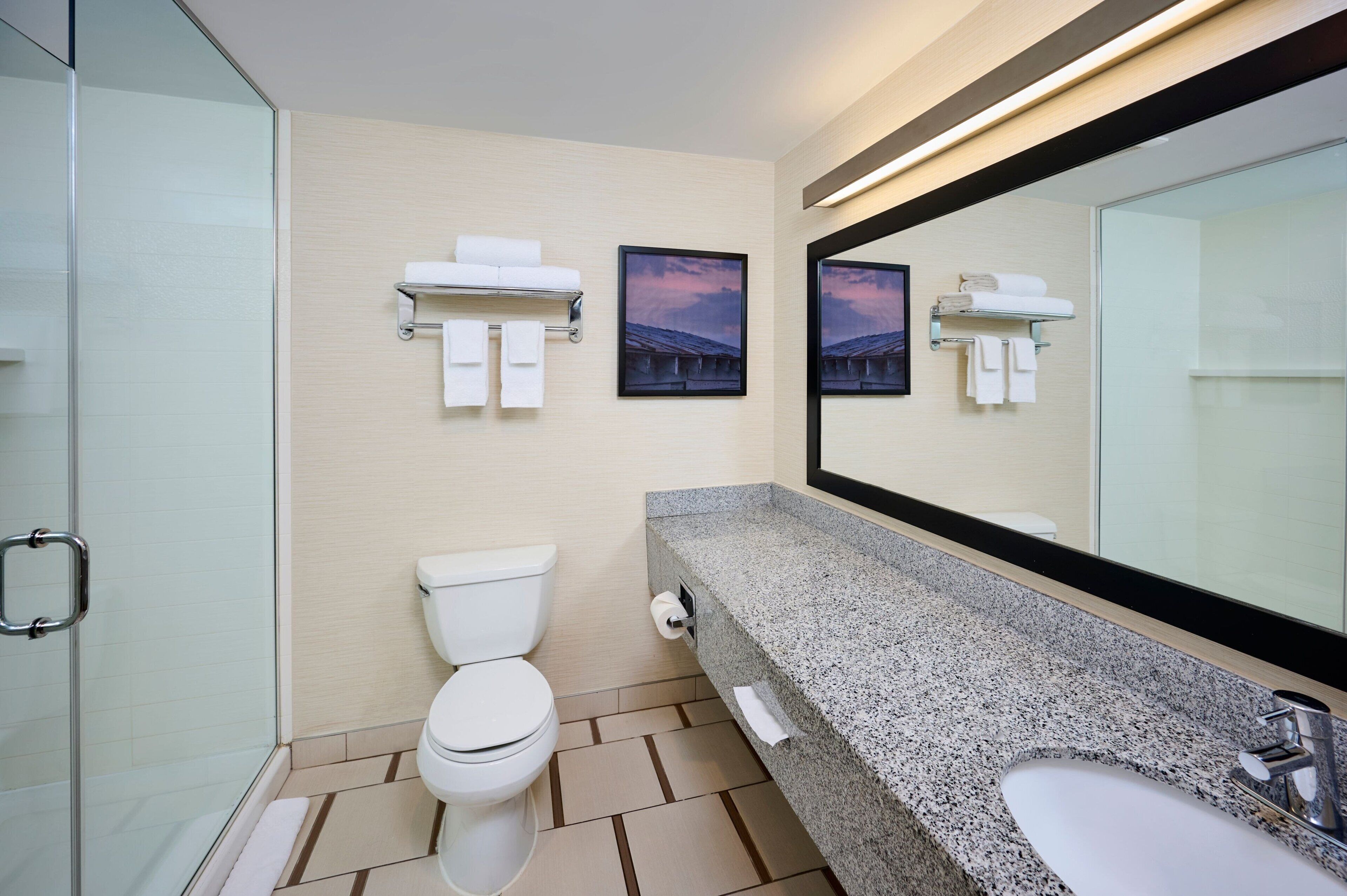 shower, free toiletries, hair dryer, towels