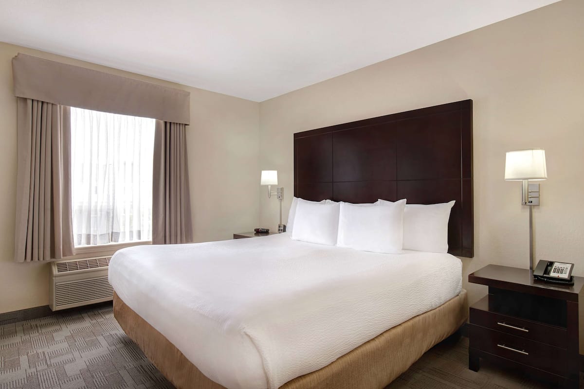 Premium King Suite with Sofa Bed