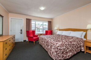 Room, 1 King Bed
