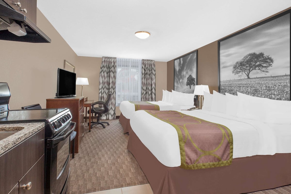 A hotel room with a bed, a desk, a TV, a lamp, and a painting of a tree.