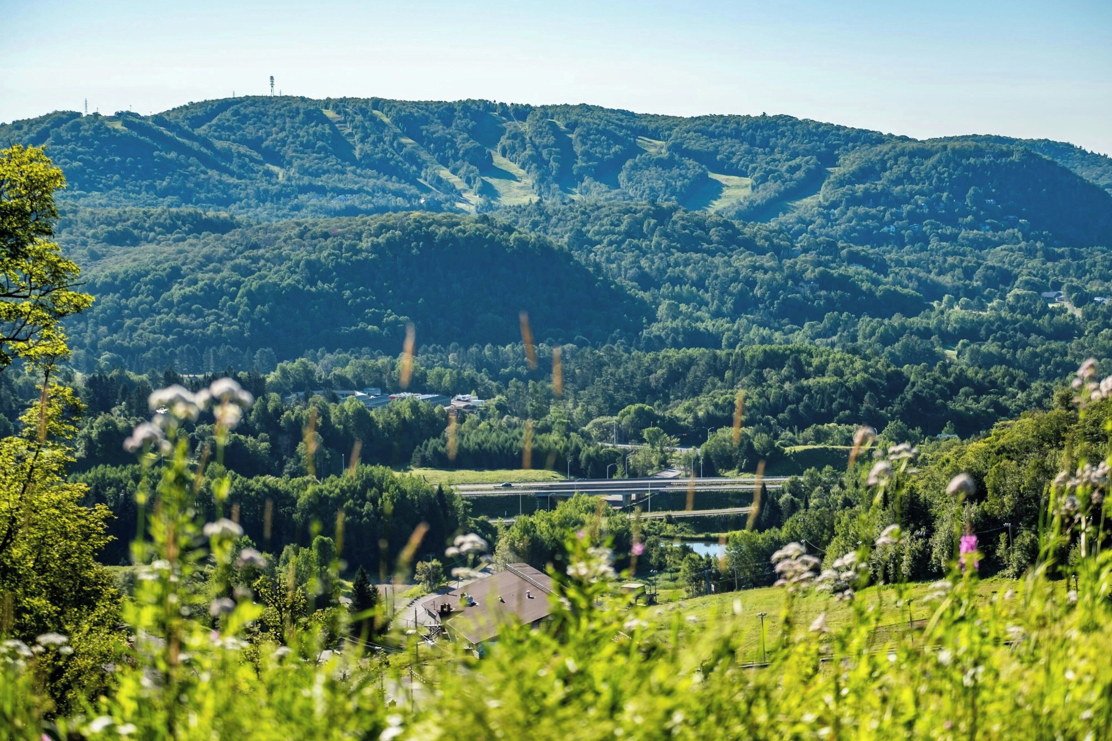 A view of a lush green valley with a road and a building in the foreground.