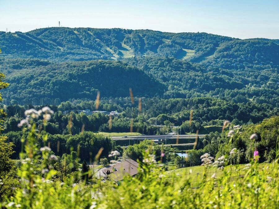 Ein Blick auf ein üppiges, grünes Tal mit einer Straße und einem Gebäude im Vordergrund.