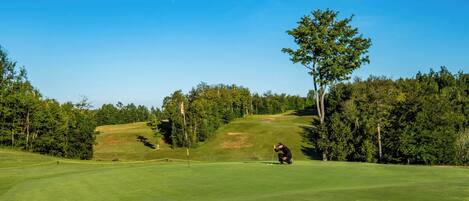 Golfkenttä, jonka yllä on kirkas taivas, ja maisemassa näkyy puita sekä golfaaja lyömässä palloa.