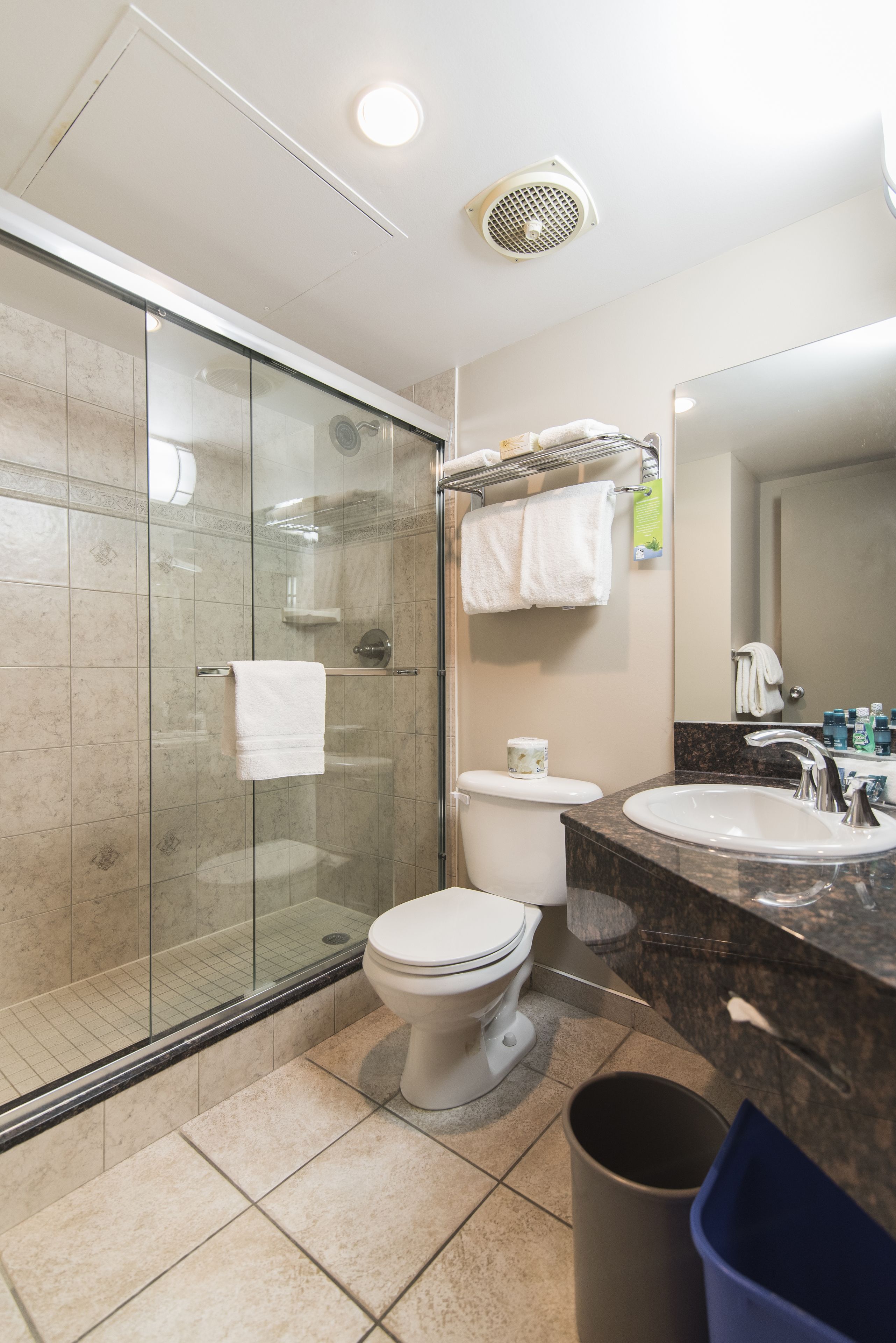 A modern bathroom with a glass-enclosed shower, a toilet, a sink, and a mirror.