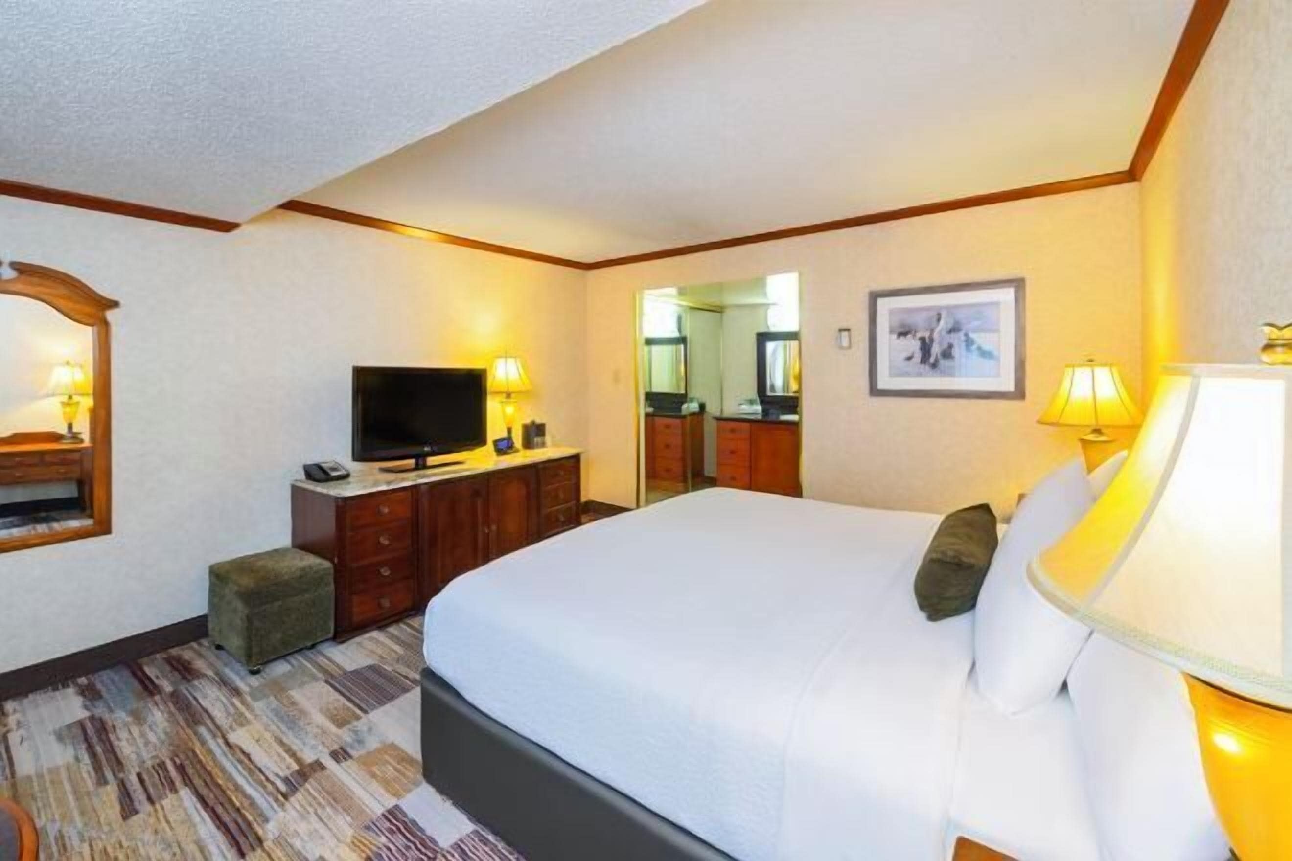 Premium bedding, iron/ironing board, free WiFi, bed sheets