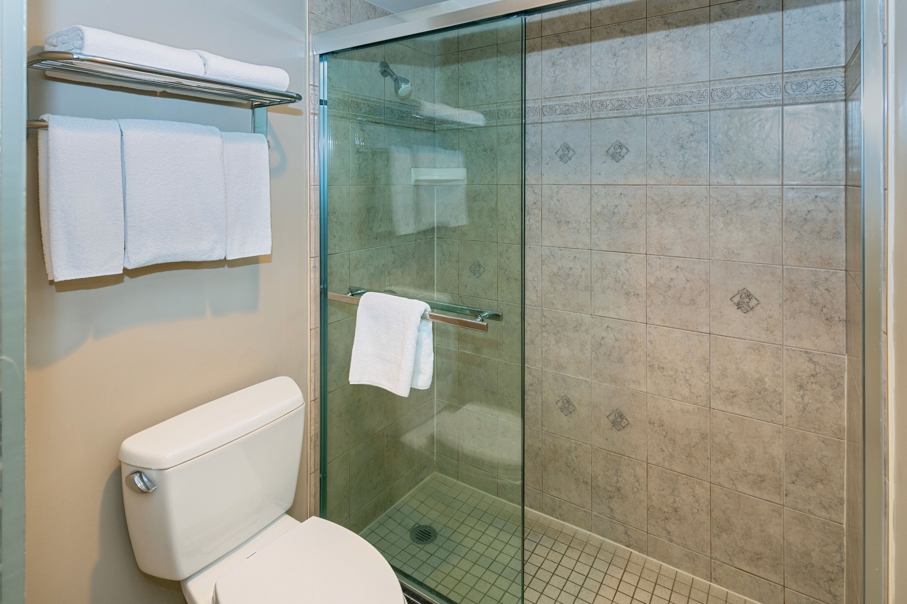 A bathroom with a glass-enclosed shower, a toilet, and a towel rack with towels.