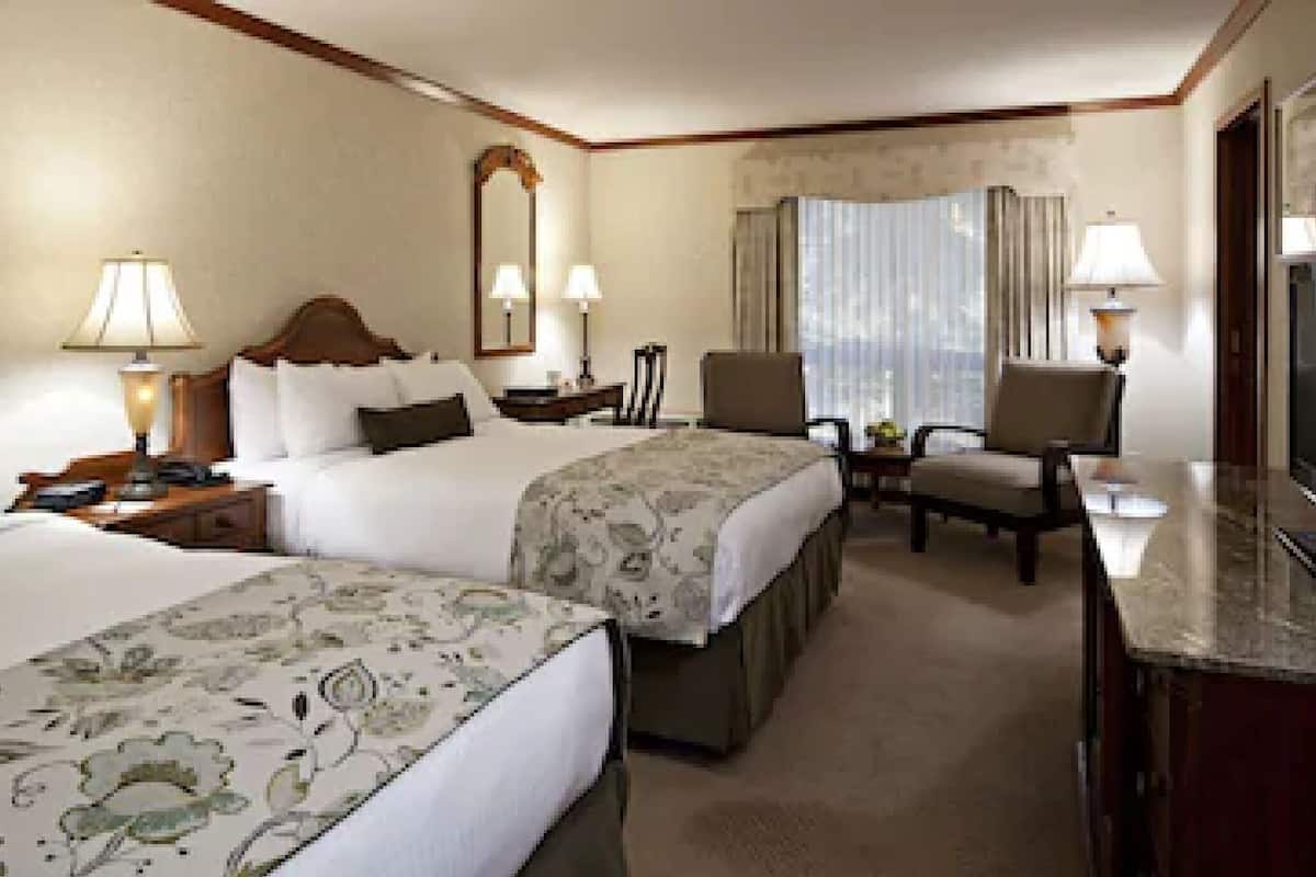 Sängtillbehör av högsta kvalitet, strykjärn/strykbräda och gratis wi-fi