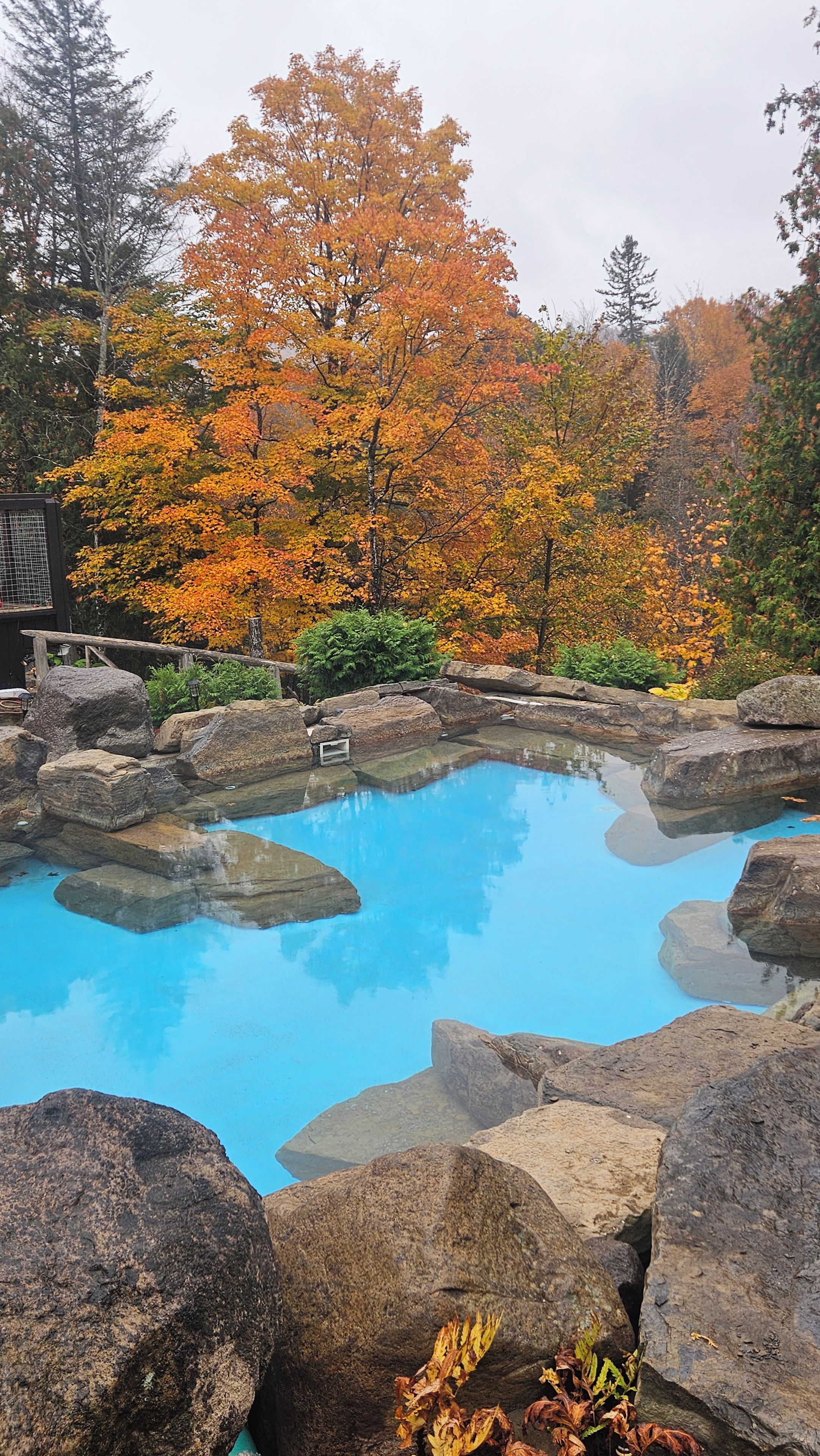 Una piscina azul cristalina rodeada de rocas grandes y árboles de colores otoñales.