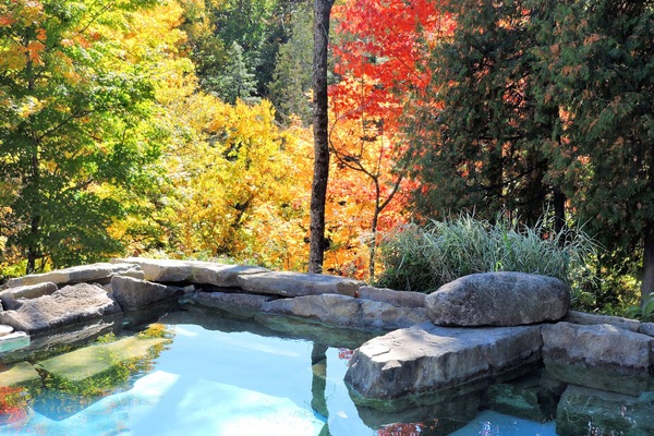 Sauna, hot tub, steam room, hot stone massages, Swedish massages