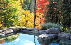 Sauna, hot tub, ruang uap, pijat dengan batu panas, dan pijat Swedia