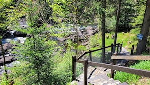 Una escalera de madera que desciende hacia un arroyo sobre rocas, rodeado de abundante vegetación.