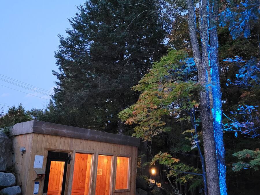 Een klein houten huisje met een steen terras, twee rode Adirondack stoelen en een boom met blauwe lampjes.