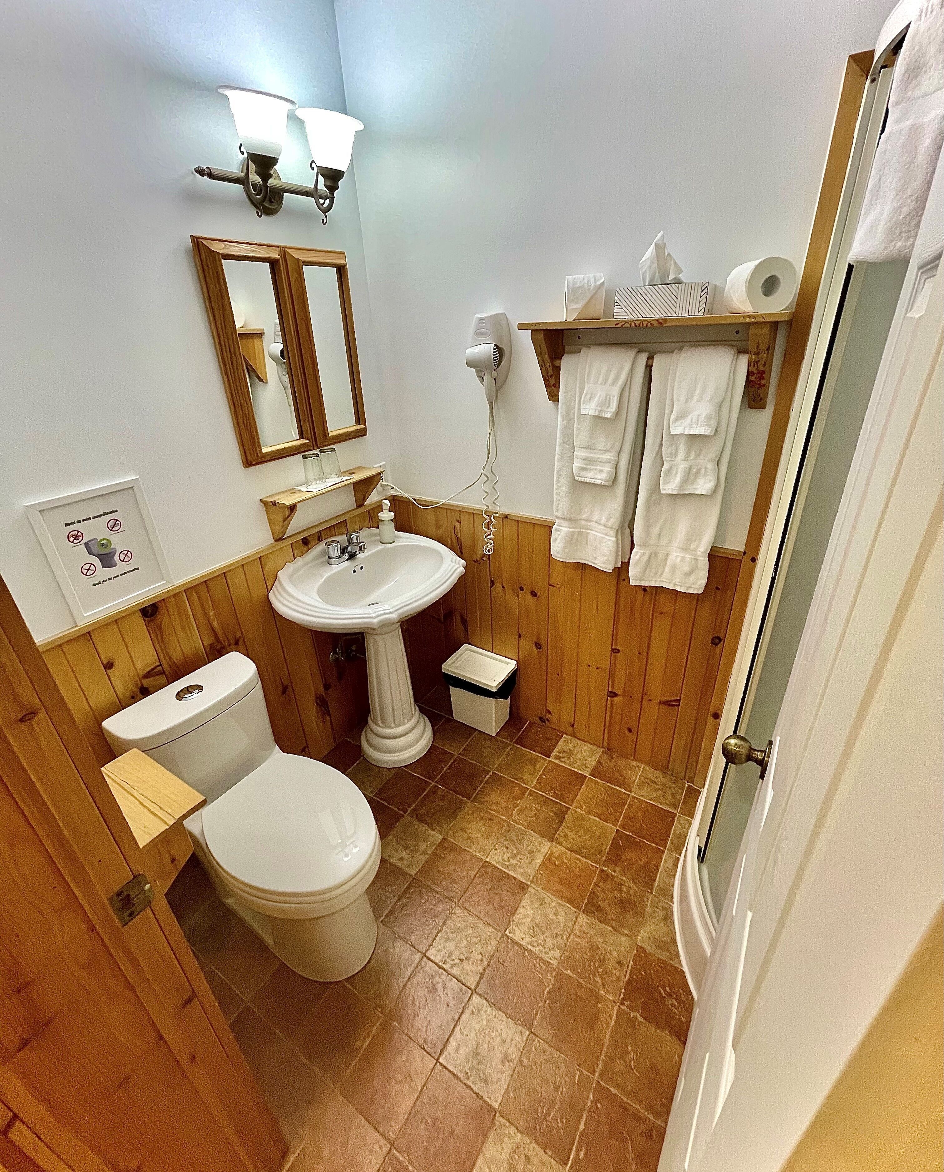 A bathroom with a pedestal sink, a toilet, a mirror, and a towel rack.