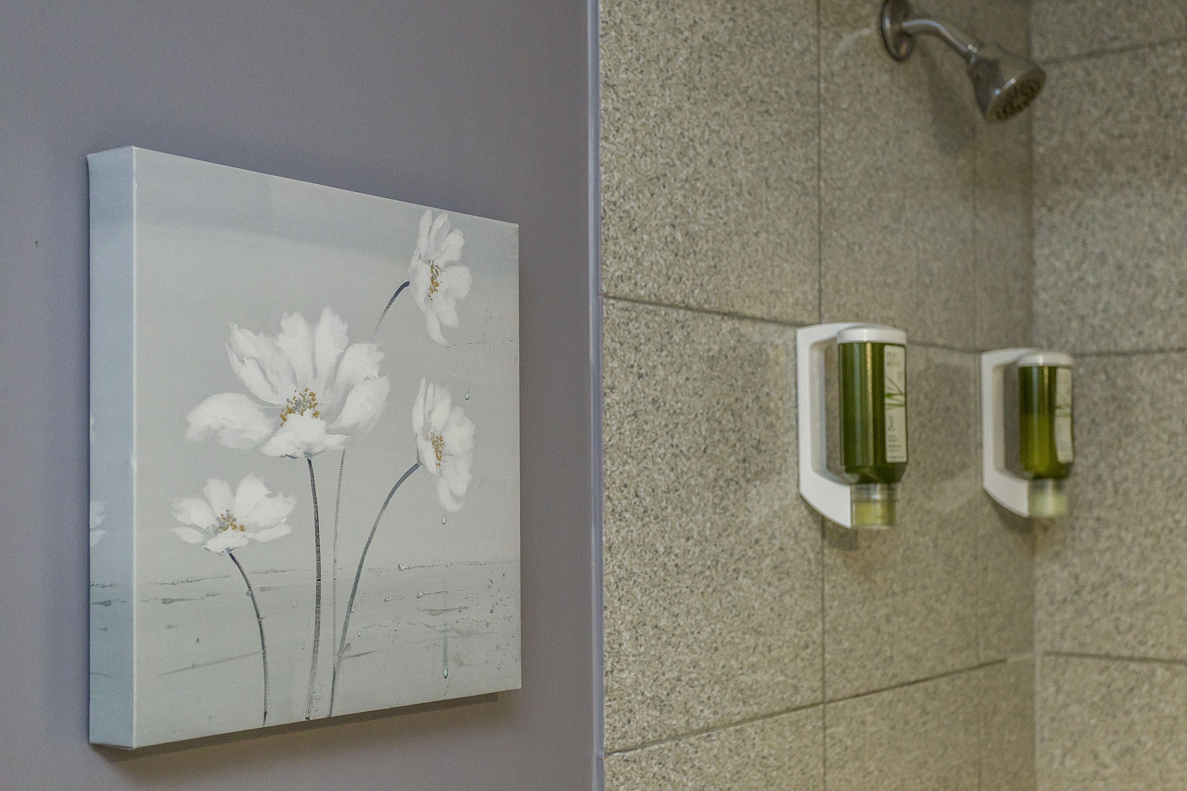 Foto - Auberge de La Fontaine