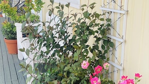 A wooden deck with potted plants and a white fence.