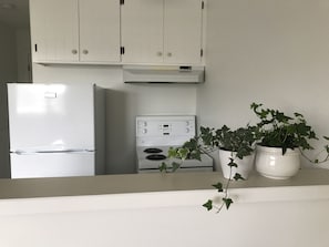 Apartment, 1 Queen-Bett, Küche | Eigene Küche | Wasserkocher mit Kaffee-/Teezubehör, Wasserkocher
