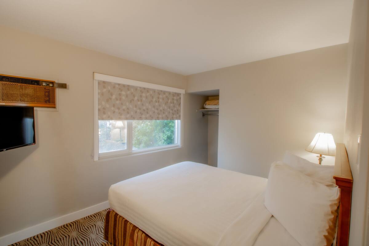 A hotel room with a bed, a television, a window with a view of trees, and a lamp.