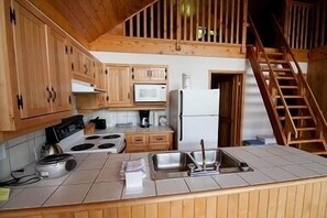 Großer Kühlschrank, Mikrowelle, Herdplatte