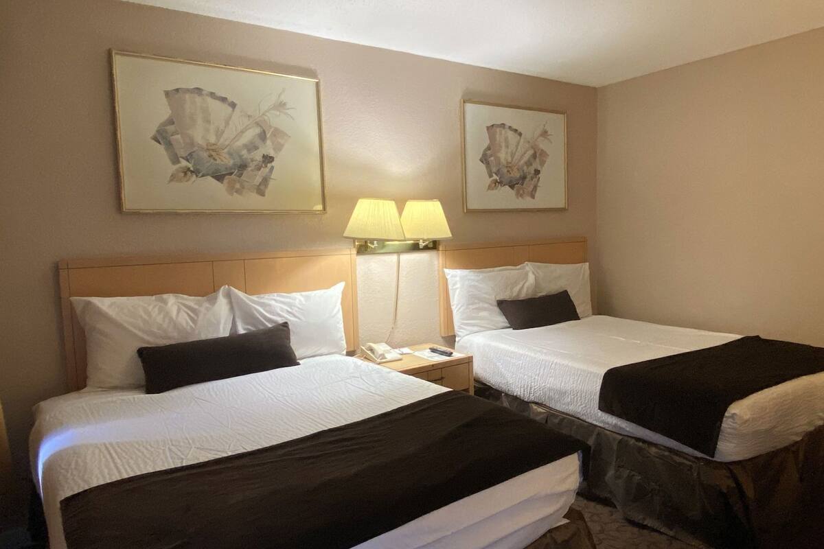 Premium bedding, desk, laptop workspace, blackout drapes