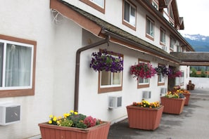 Detalle exterior