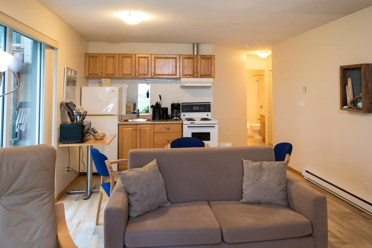 standard suite, ocean view | living area | plasma tv