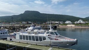 A marina with boats docked, a wooden pier, and a backdrop of houses and a hill. - Hotel Motel Fleur De Lys (Perce)