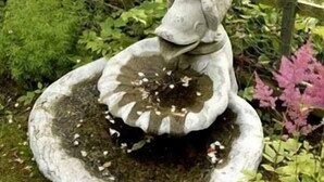 噴水