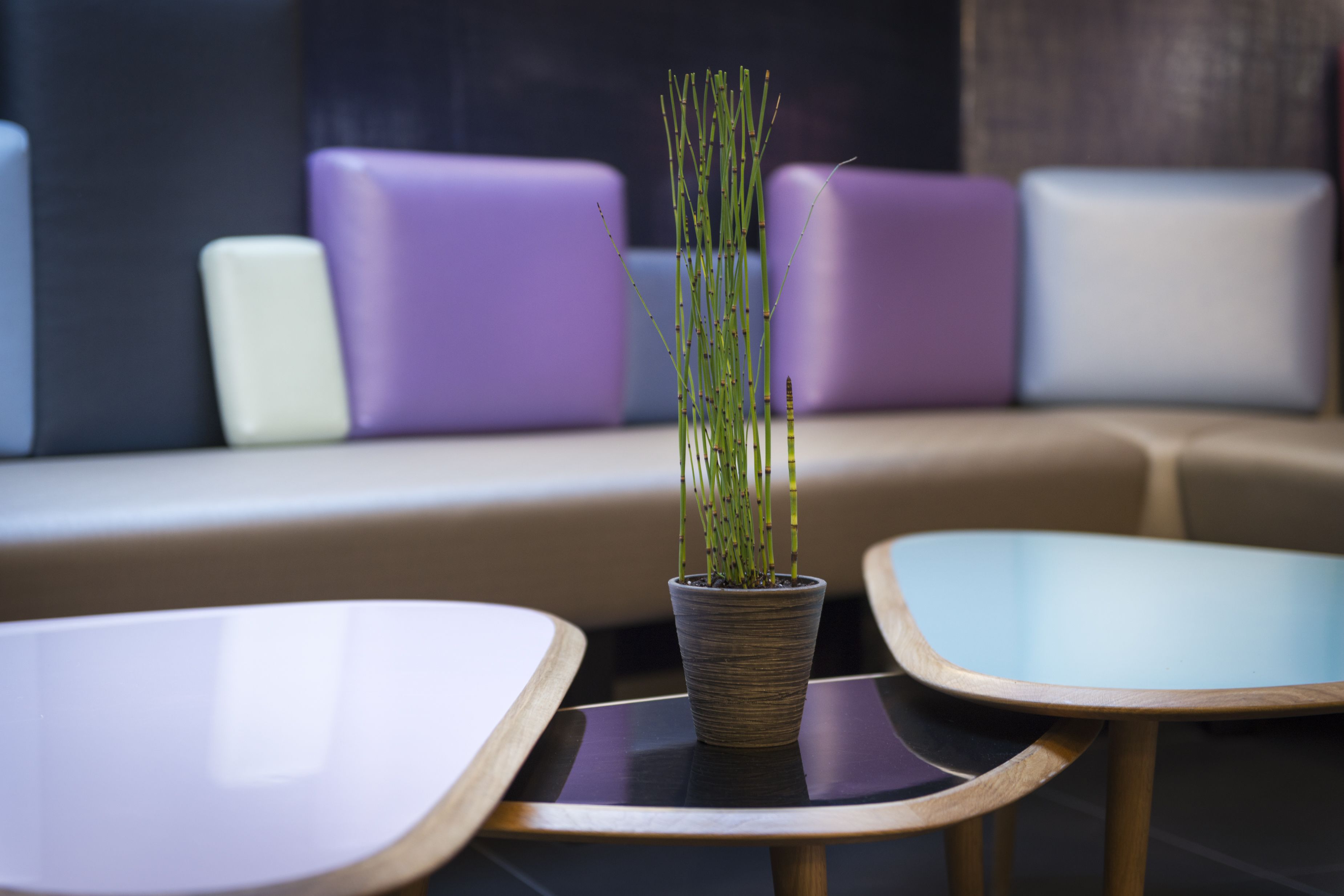 Foto - Le Bon Hôtel