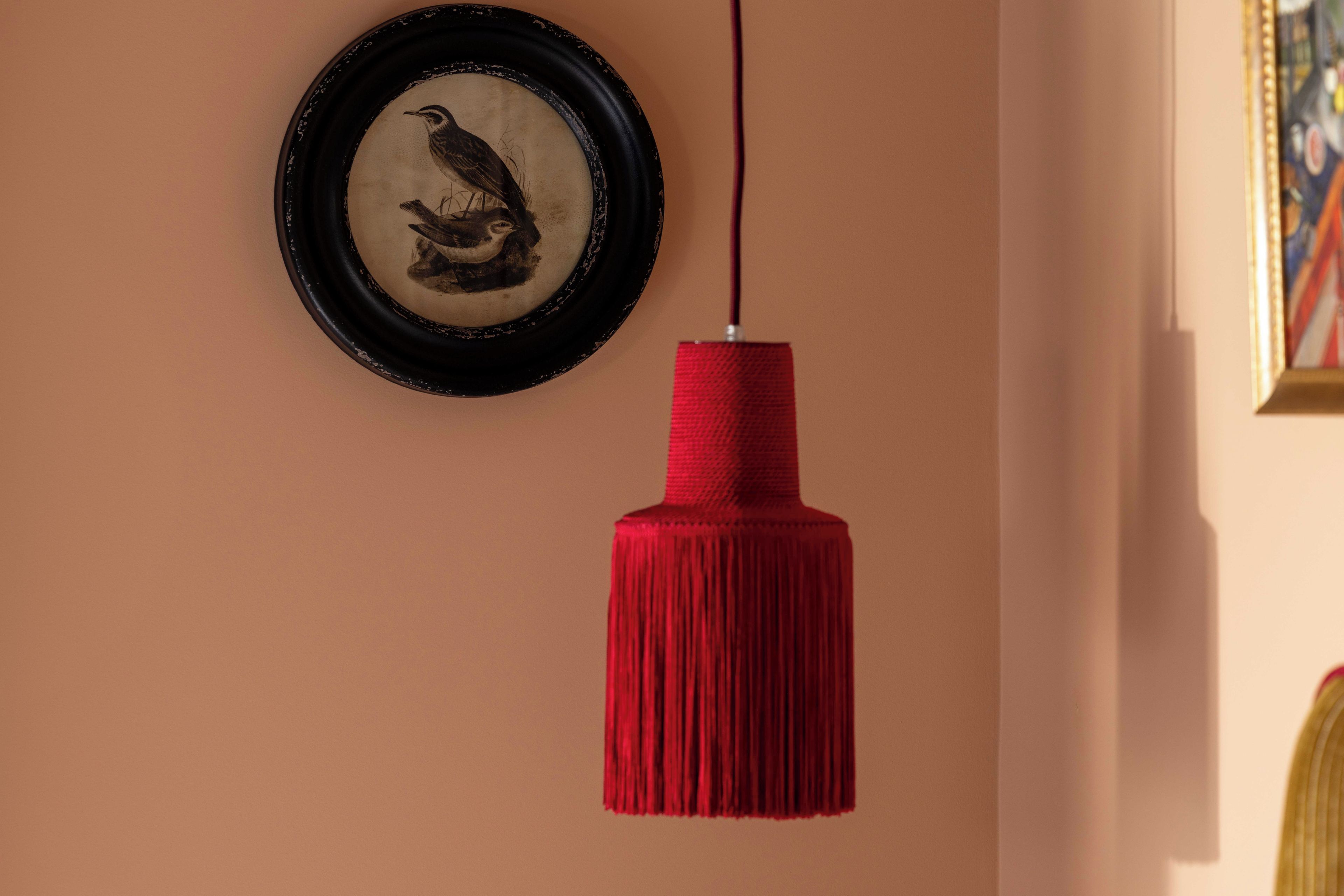 Una pared con un cuadro enmarcado de un pájaro y un fleco rojo colgando del techo.