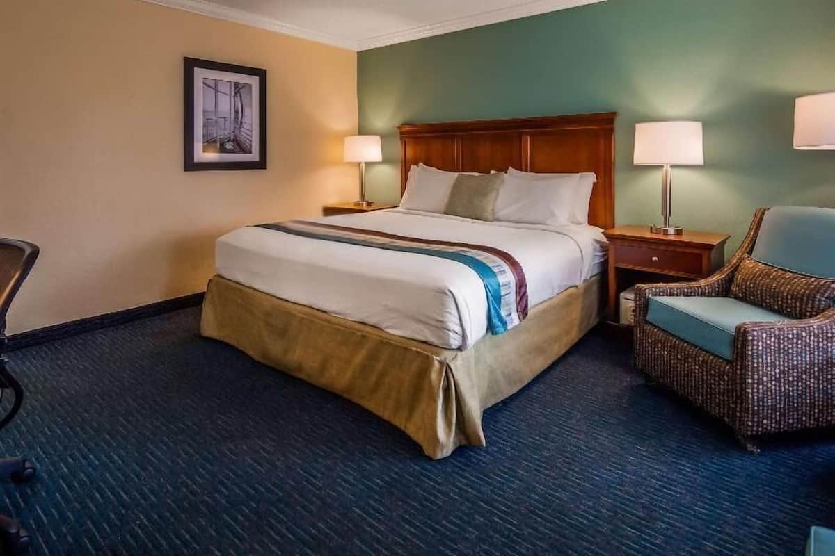 Habitación de hotel con una cama grande, dos mesitas de noche con lámparas, una silla y un cuadro en la pared.