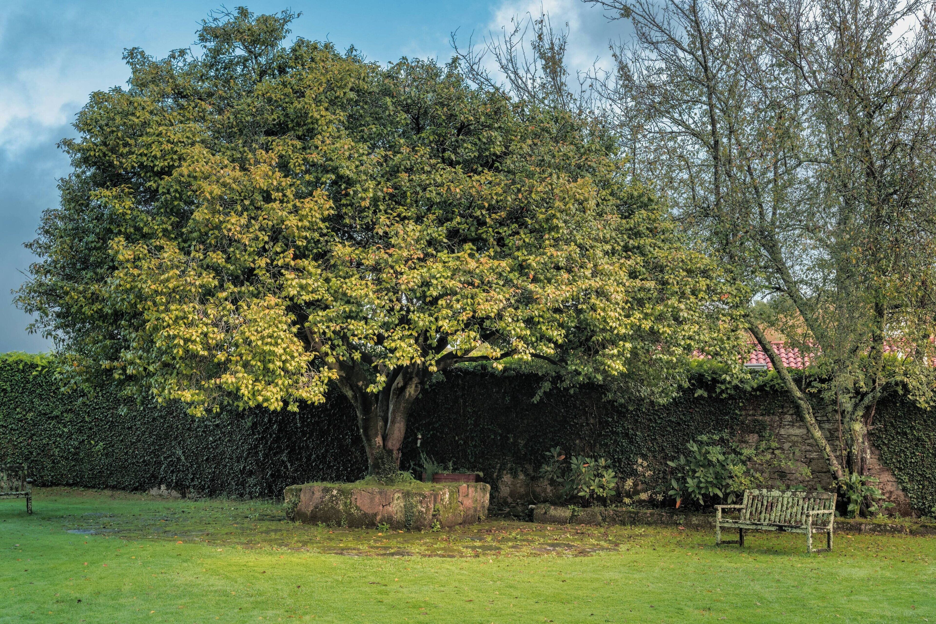 Photo - Hotel Palacio del Carmen, Autograph Collection