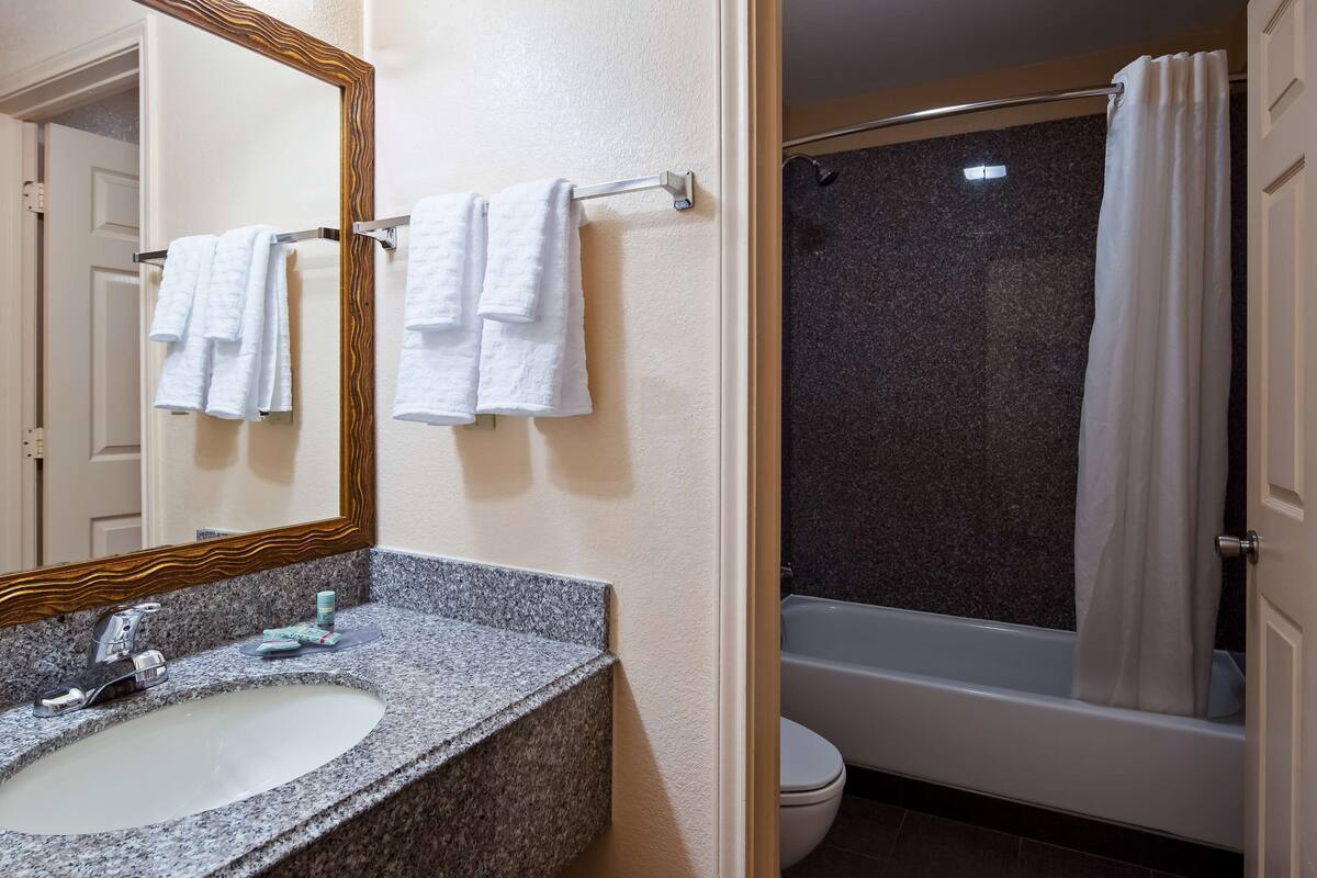 combined shower/bathtub, free toiletries, hair dryer, towels