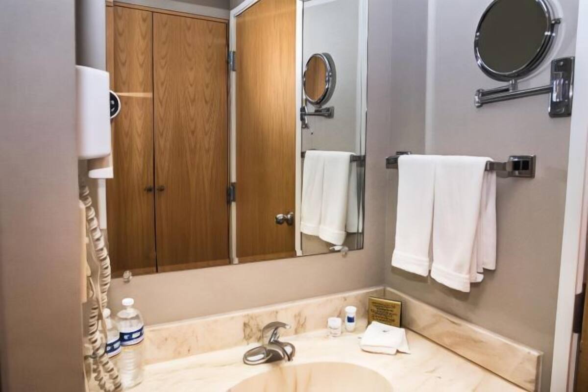 Bathroom | Combined shower/tub, free toiletries, hair dryer, towels