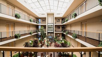 Se sirven desayunos, comidas, cenas y cocina americana