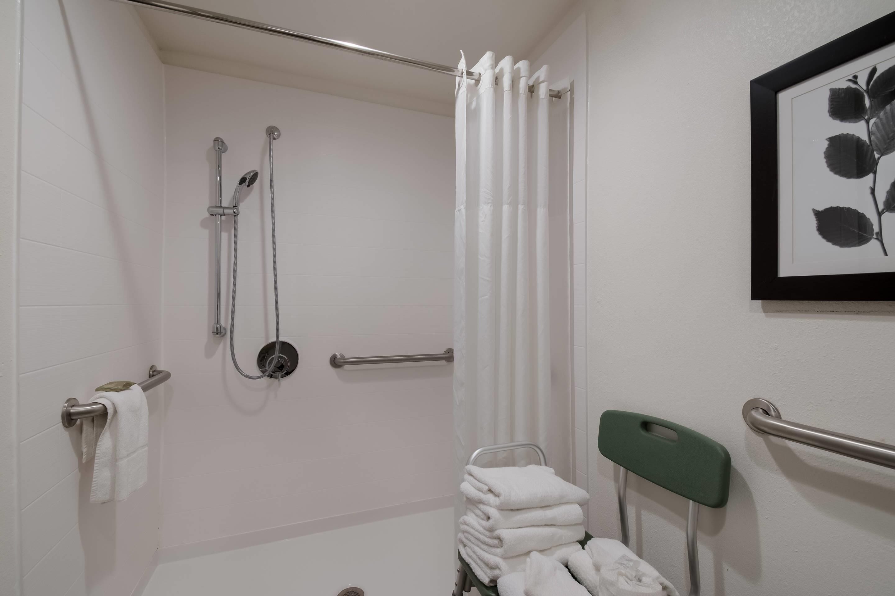 suite, 1 bedroom, accessible, non smoking (roll-in shower) | 1 bedroom, hypo-allergenic bedding, desk, blackout curtains