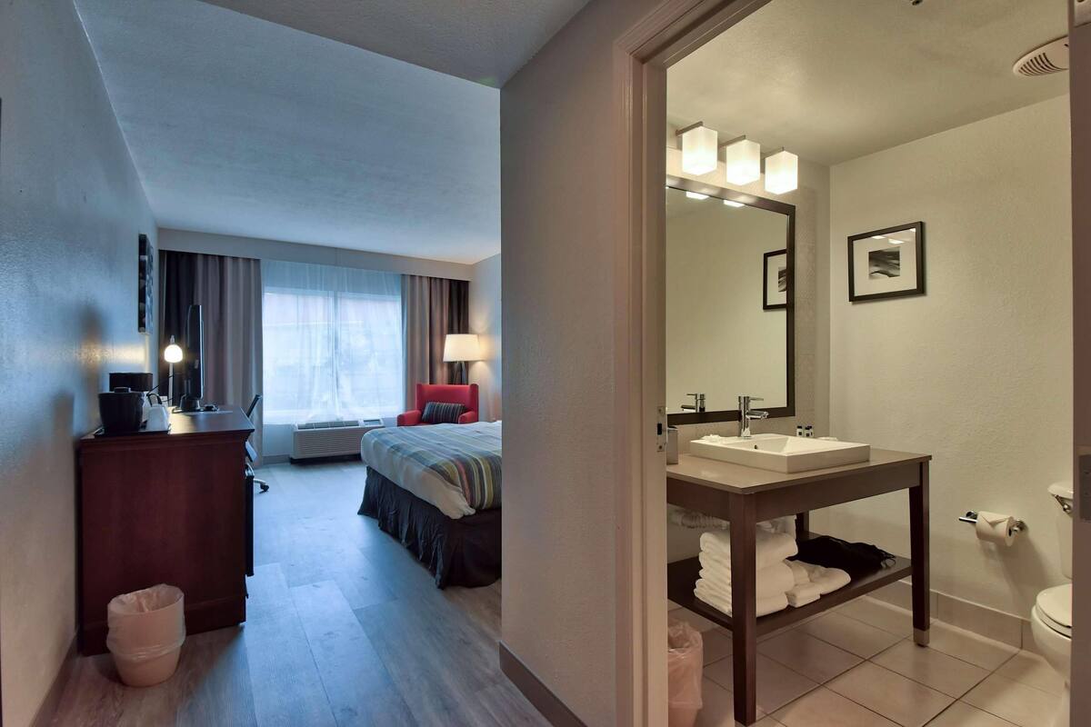 A hotel room with a bed, bedside table, lamp, and a view of the outside.