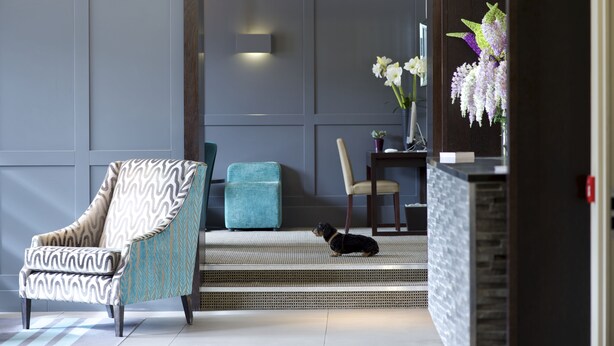 Una sala moderna con un sillón estampado, un reposapiés color turquesa y un perro en los escalones.