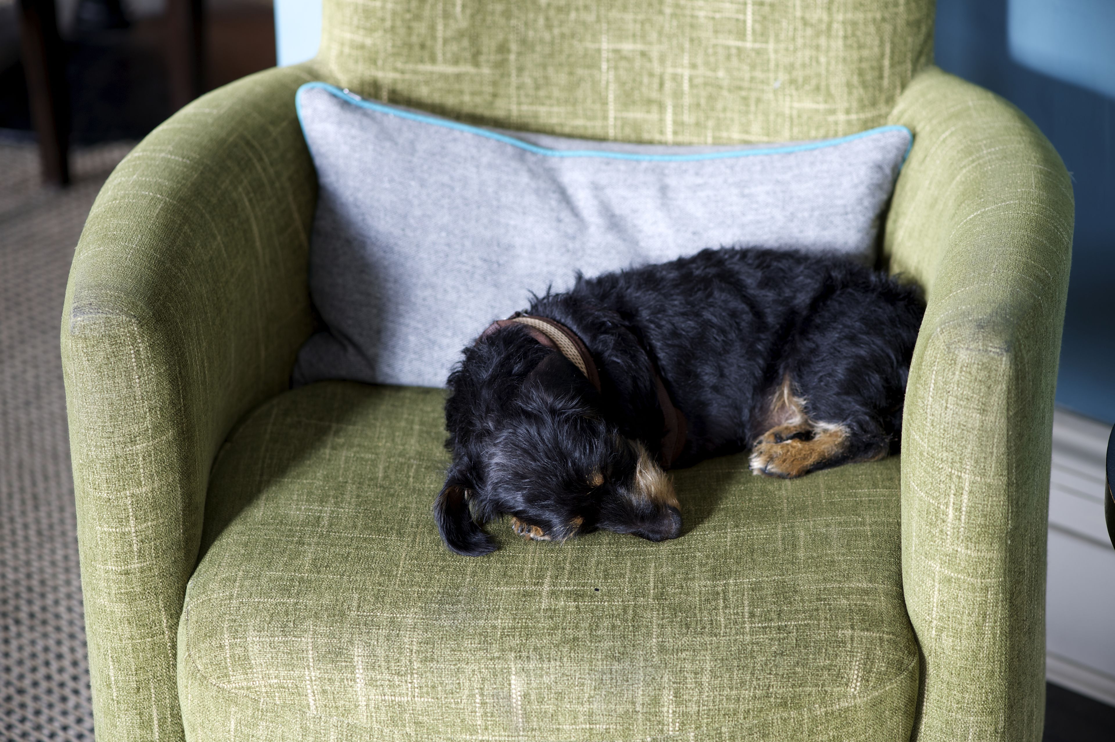 A green armchair with a grey pillow.