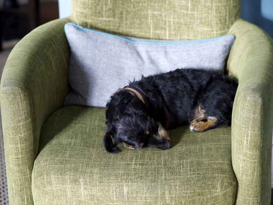 A green armchair with a grey pillow.