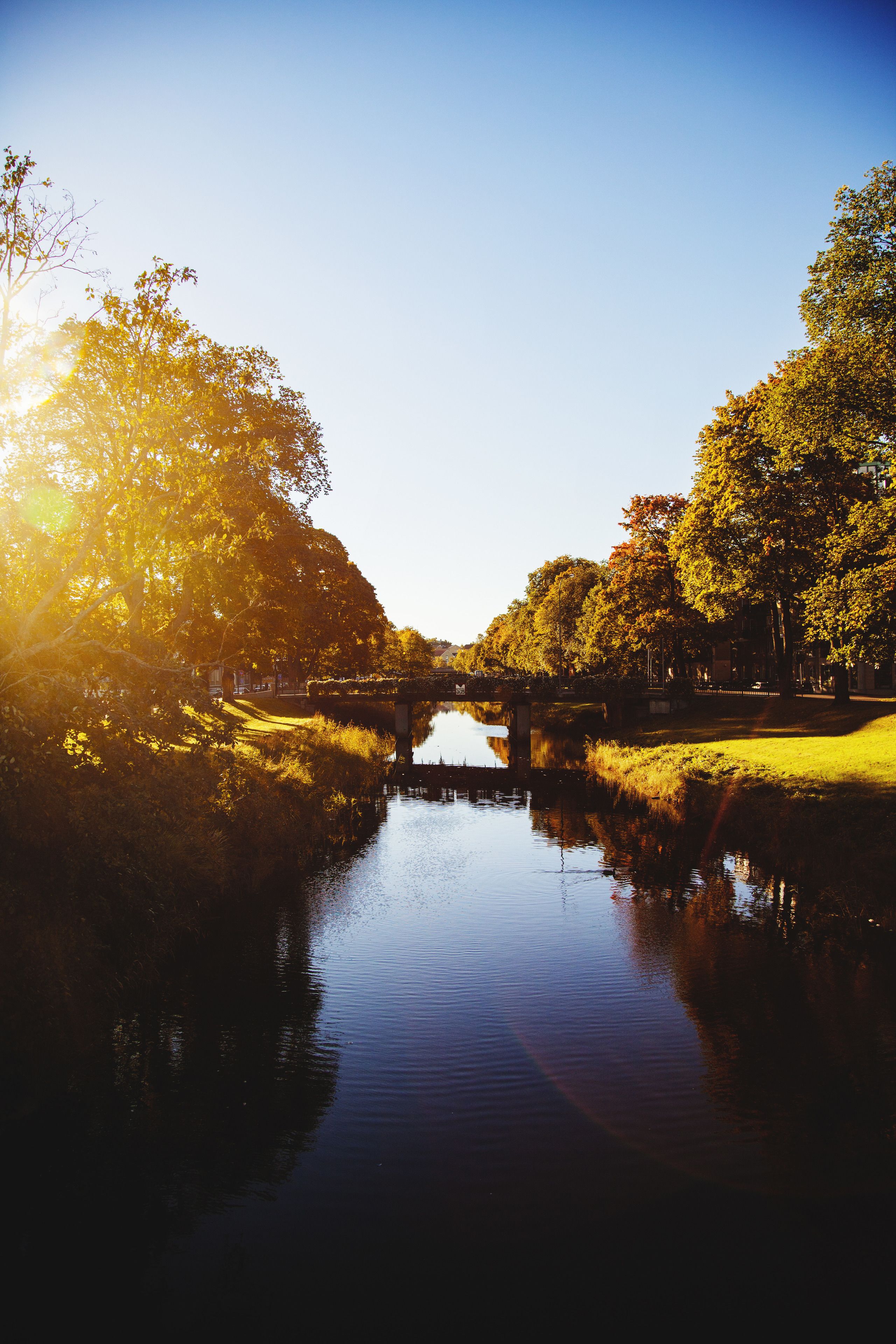 A serene riverside scene with a bridge, trees, and a calm body of water reflecting the surroundings.