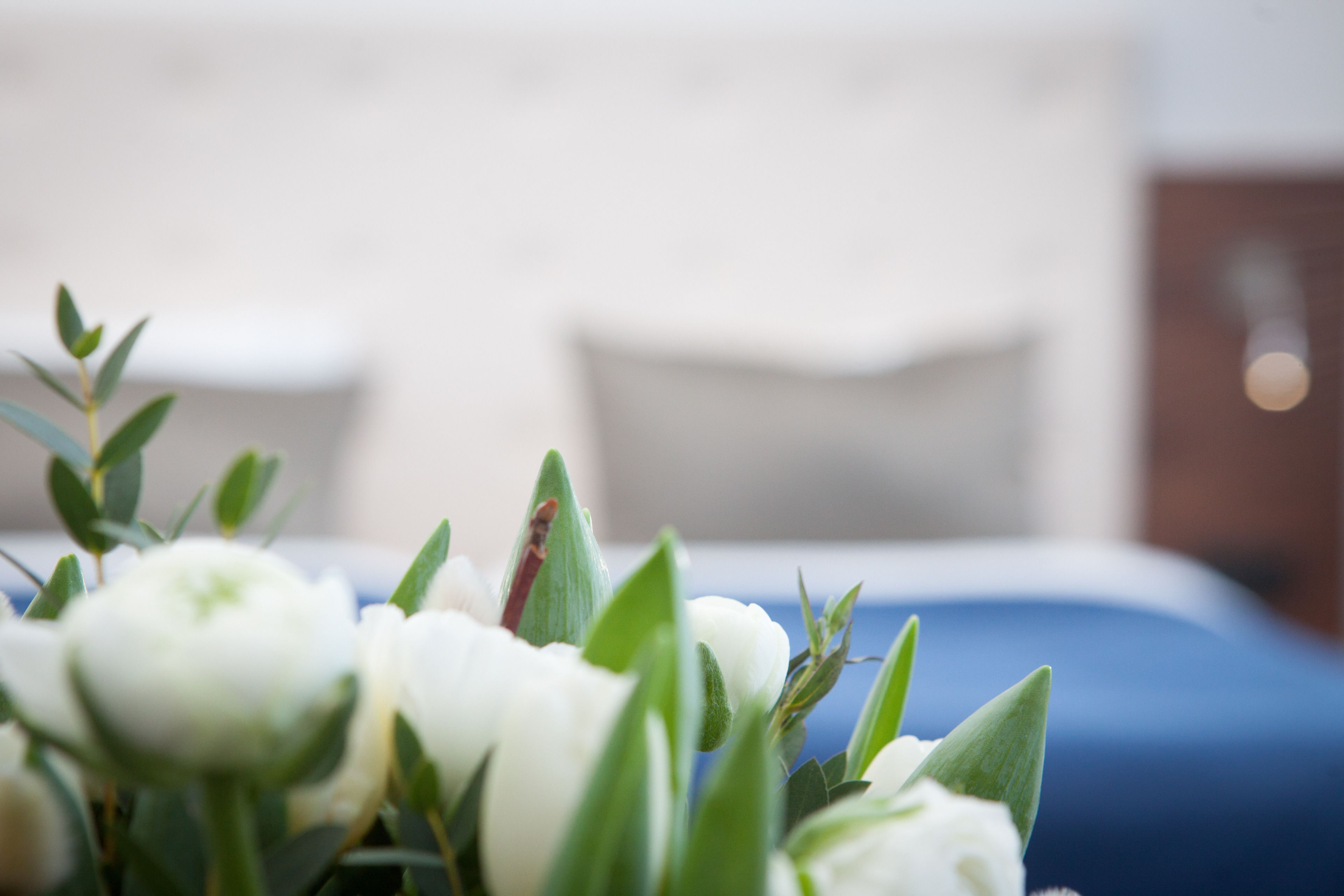 A close-up of white flowers with green leaves, a blurred blue bedspread, and a white pillow in the background.