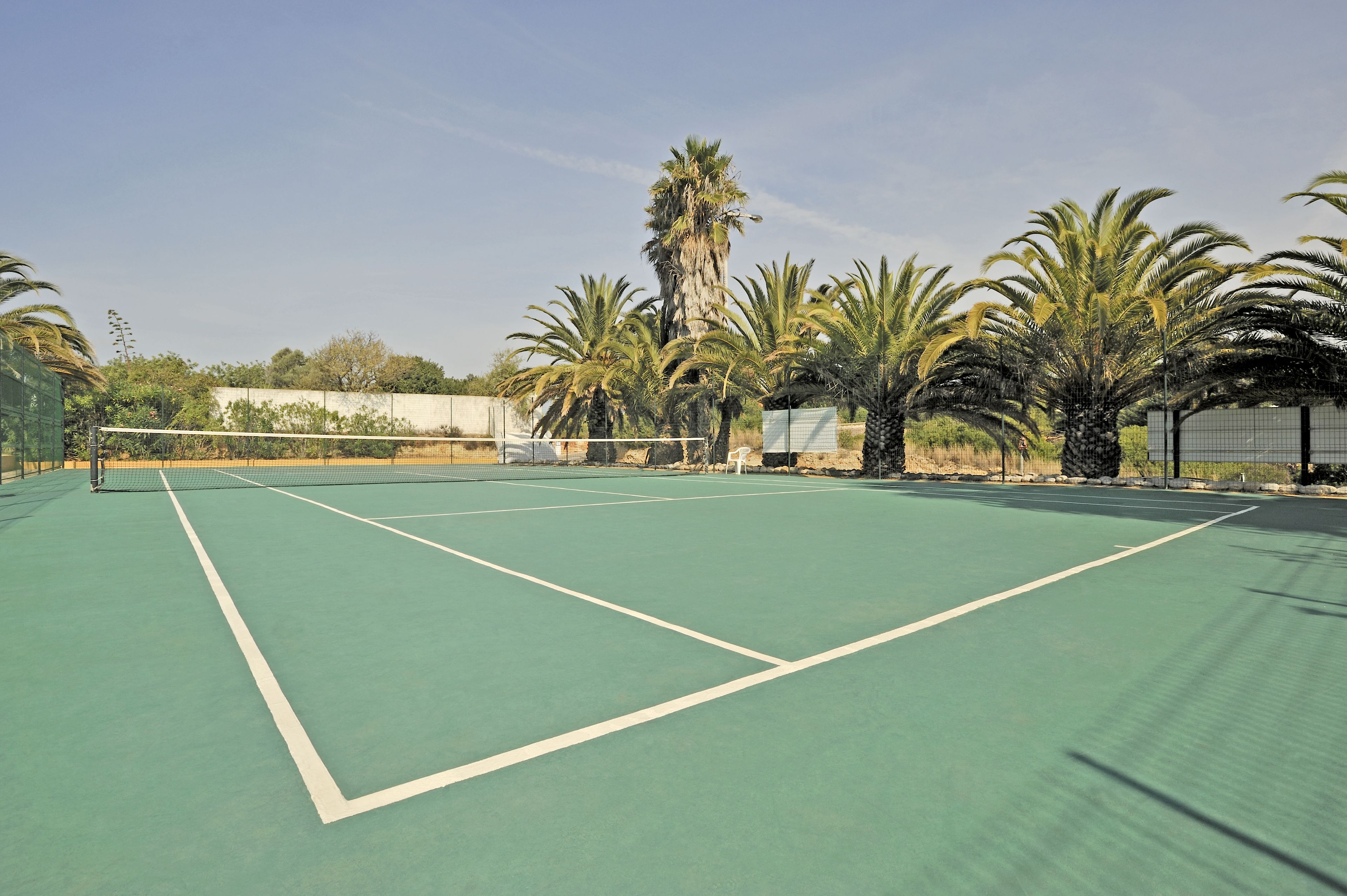 A tennis court with a net, surrounded by palm trees and a clear sky.
