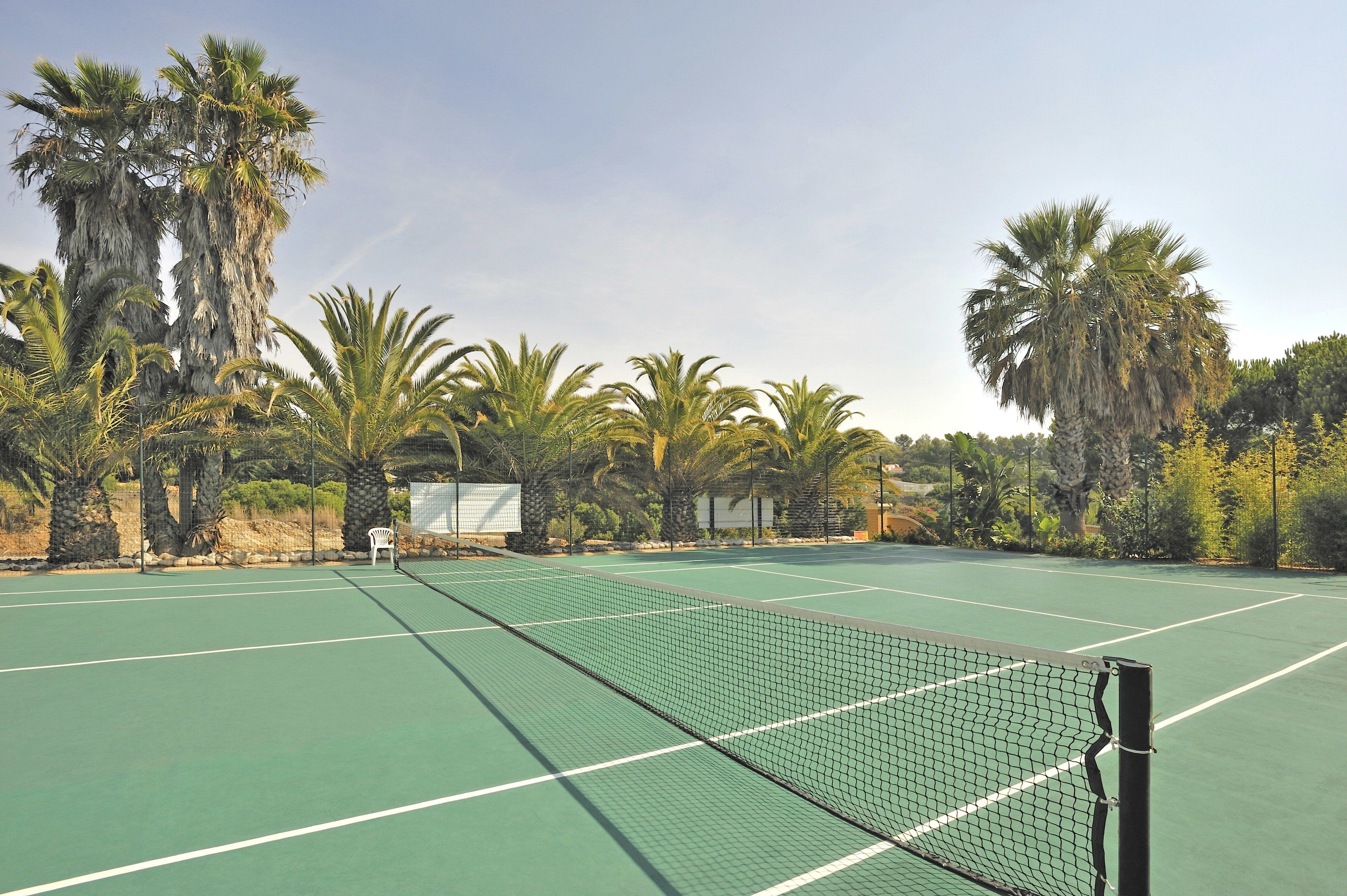A tennis court surrounded by palm trees.