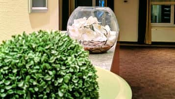 Una planta en maceta con un recipiente de vidrio transparente que contiene flores blancas y una base de piedra.